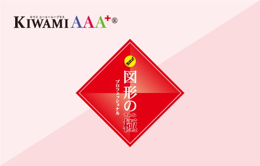 KIWAMI AAA+®︎ 図形の極®︎ オンライン講座