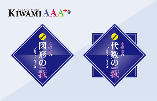 KIWAMI AAA+®︎ 中学生 図形・代数の極®︎ オンライン講座